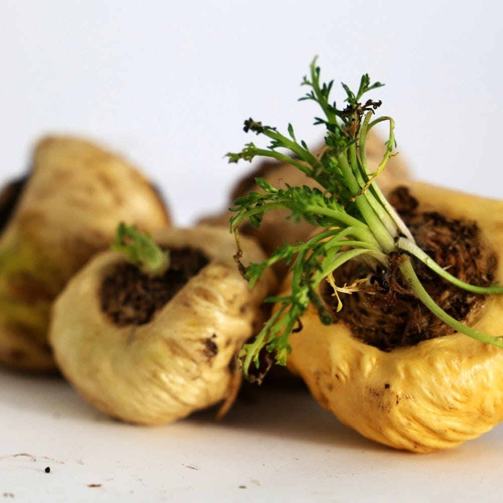 Epimedium Erection Spray