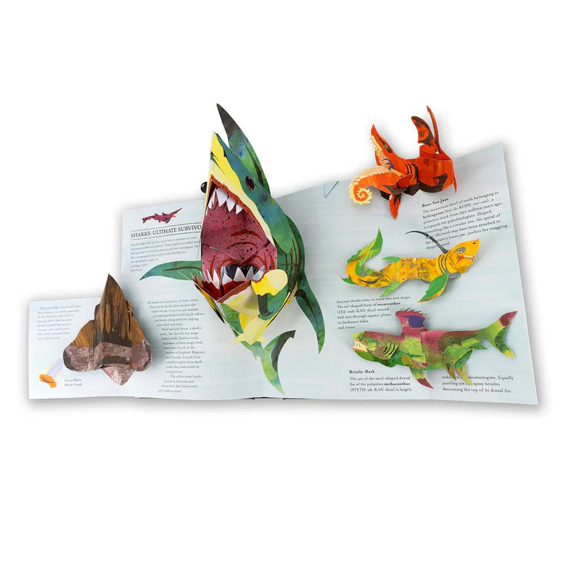 🦖3D Encyclopedia Prehistorica Series🦈Dinosaurs + Sharks & Sea Monsters — Pop-Up Book